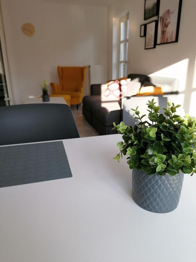 Ferienhaus Bremke Am Alfsee Rieste 外观 照片